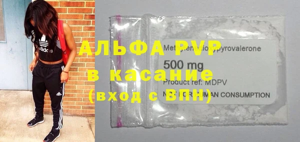 индика Аркадак