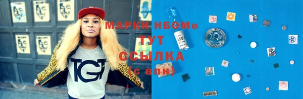 крисы Покачи