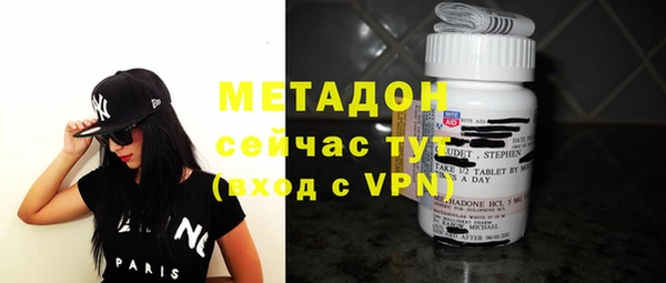 индика Аркадак
