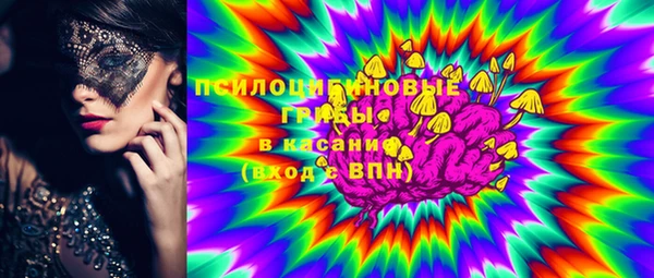 индика Аркадак