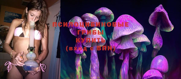 индика Аркадак