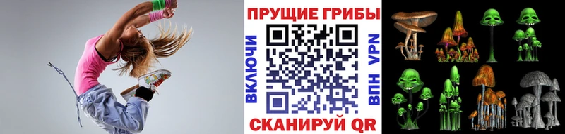 Псилоцибиновые грибы мухоморы  Лахденпохья 